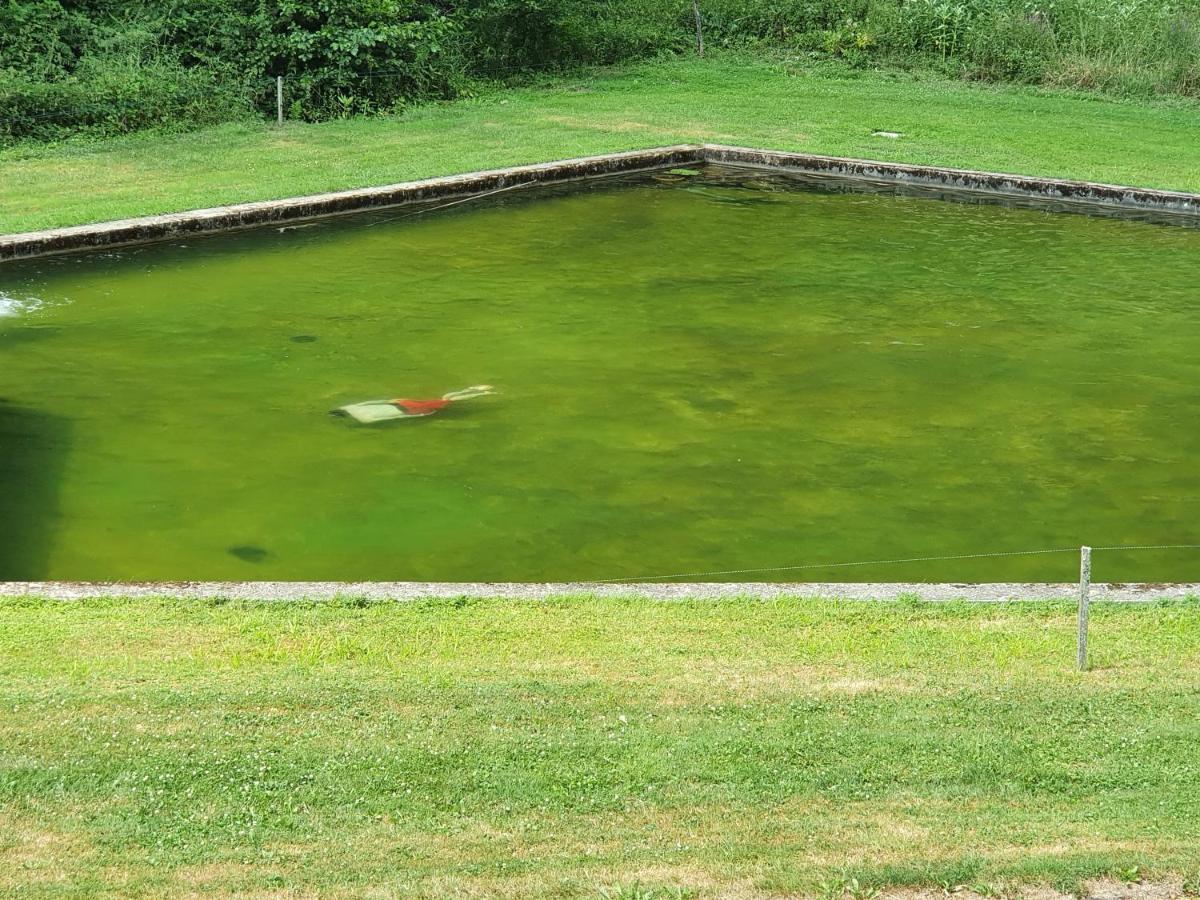 Le Saint Moulin De La Petite Pierre Villa Lohr Bagian luar foto