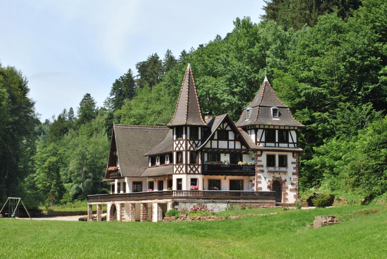 Le Saint Moulin De La Petite Pierre Villa Lohr Bagian luar foto