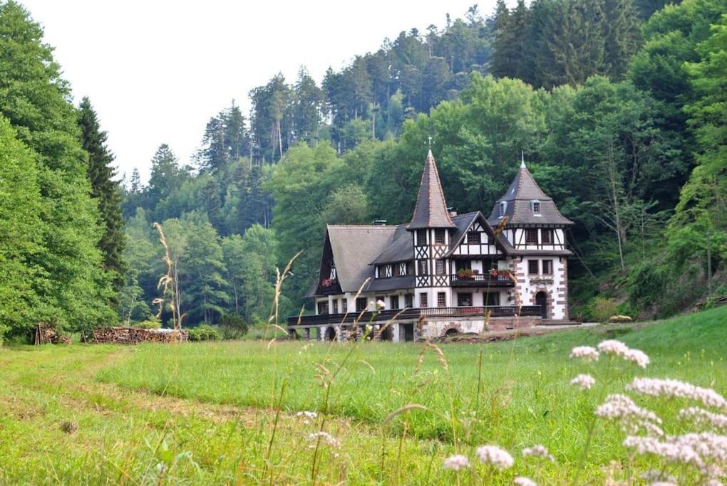 Le Saint Moulin De La Petite Pierre Villa Lohr Bagian luar foto