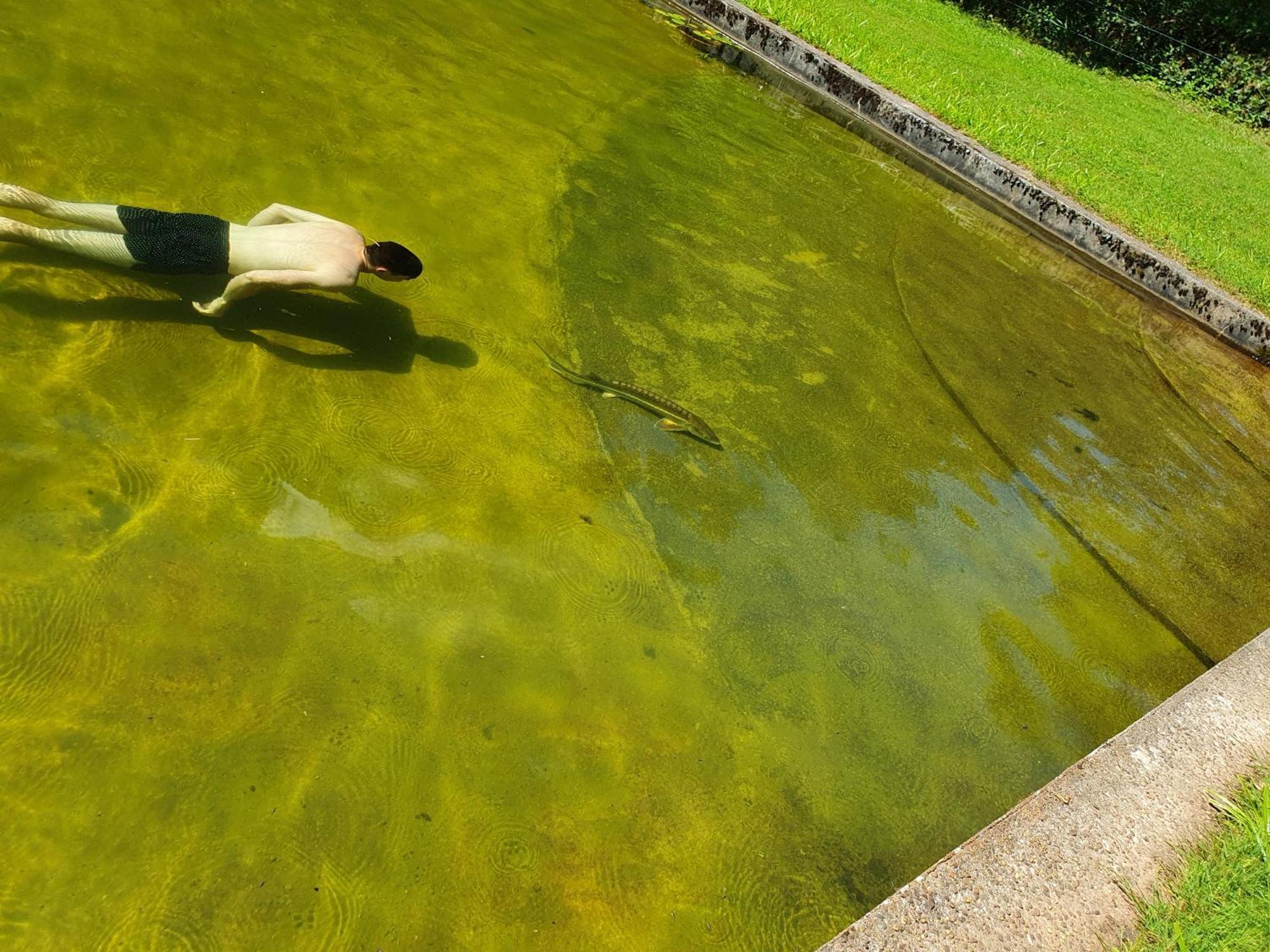 Le Saint Moulin De La Petite Pierre Villa Lohr Bagian luar foto